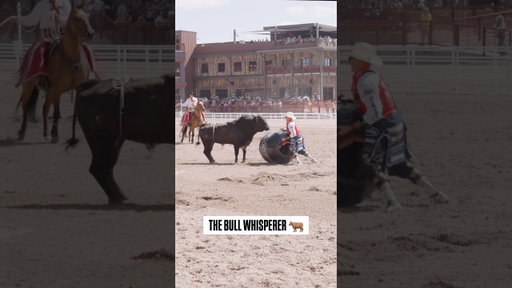 @OfficialCodyWebster doing his thing at Cheyenne #bullfighter #rodeo