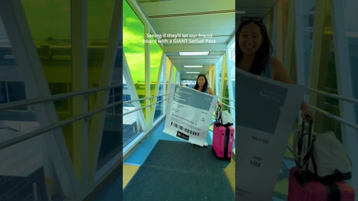 Travel hack for your Type B friend #cruise #travel #vacation