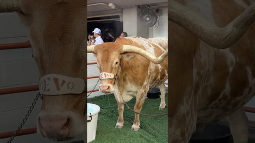 Texas vs Ohio State Was PEAK College Football