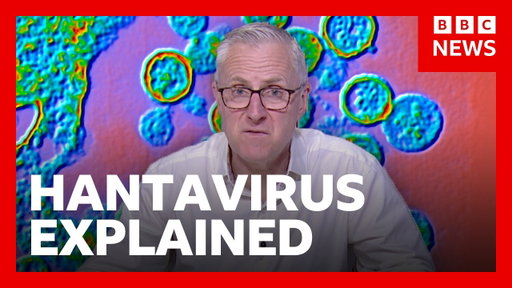 What is hantavirus and how is it spread? | BBC News