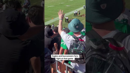 Eagles and buccaneers fans fight at the game #eagles #buccaneers #symonewiththesports #flyeaglesfly