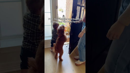 Toddler and Dog Mom Hack: Front Door Gate Keeps Them Inside