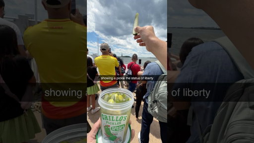 Showing a Pickle the Statue of Liberty