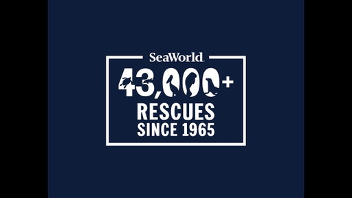 SEAWORLD REACHES MILESTONE OF 43,000 ANIMAL RESCUES
