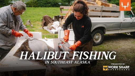Halibut Fishing Southeast Alaska | Our Way of Life