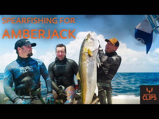 Steven Rinella Goes Spearfishing for Amberjack | MeatEater Clips