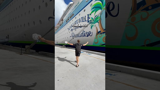 Everything I ate on the CHEAPEST cruise in 24 hours… 🫣🍔