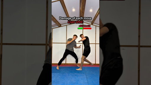 DAMAGE of each move…