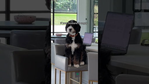 This is a sign… buy the puppy… it’s easier to ask for forgiveness than for permission 👀👀👀