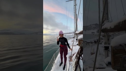 Jour 1 à nager avec les orques du Cercle Arctique. #norvege  #arcticcircle