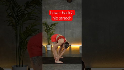 Another daily stretch for your lower back and hip area! #mobility #hipmobility #gostretchyourself