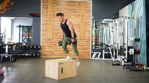 Dumbbell Suitcase Box Step Up